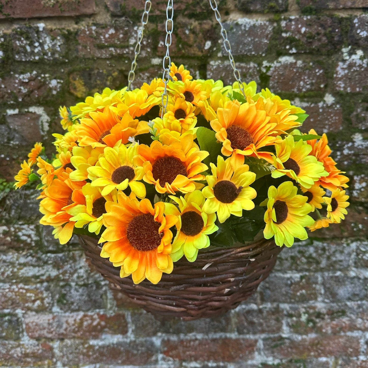 “Sunny” Yellow hanging basket