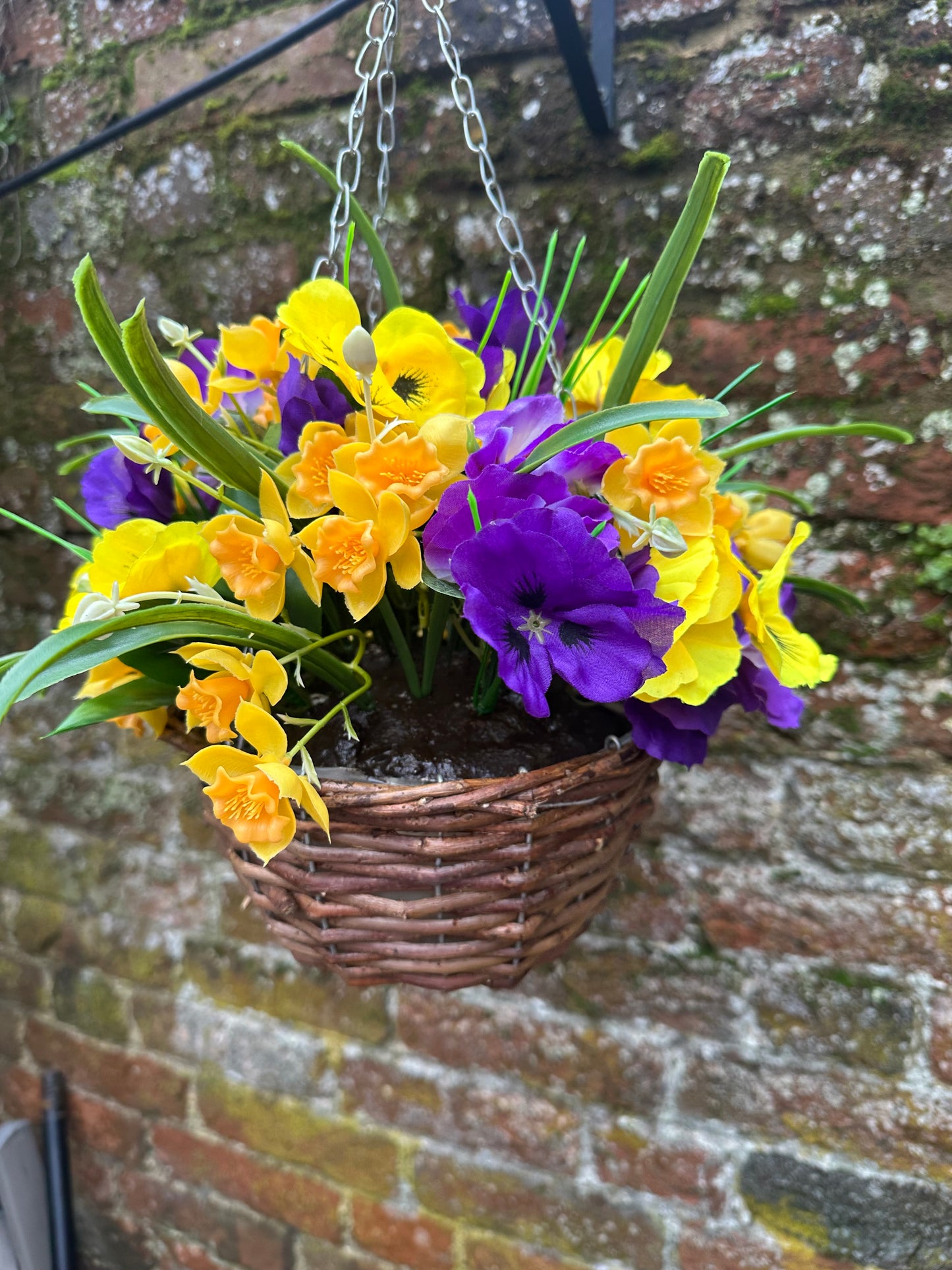 Petite purple & yellow spring hanging basket.