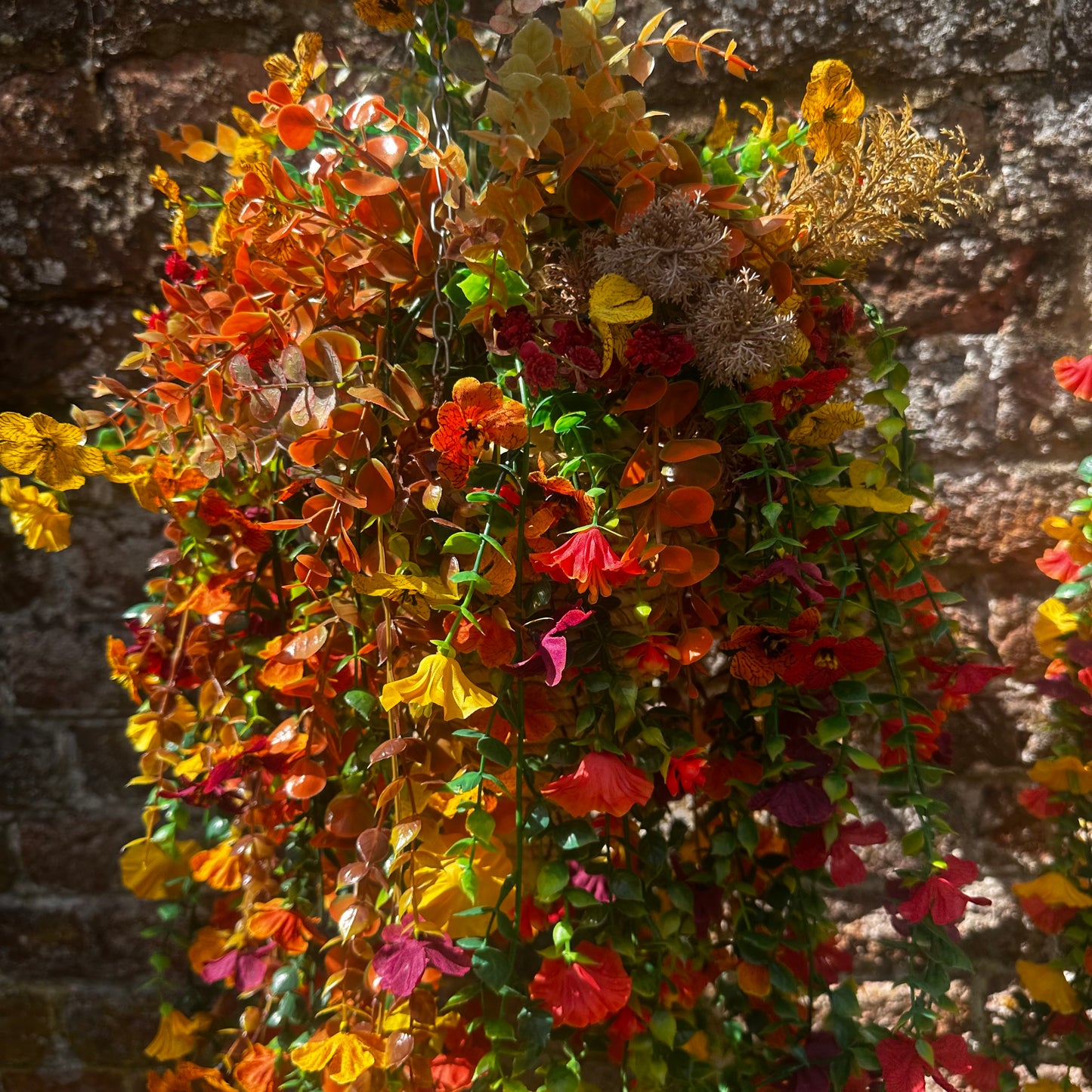 Lulu hanging baskets