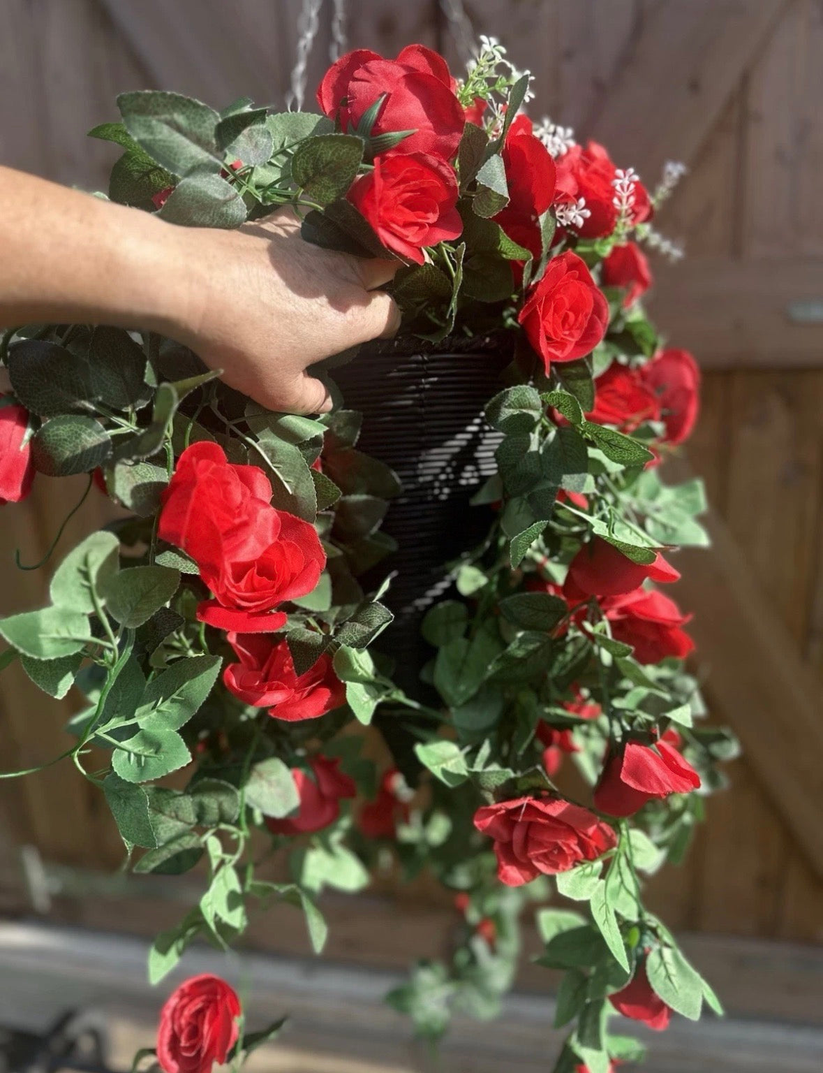 “Phia” hanging basket with Red flowers
