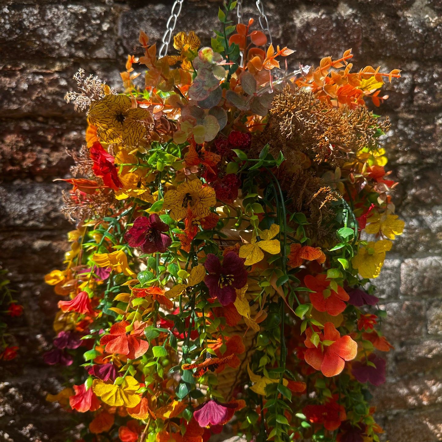 Lulu hanging baskets