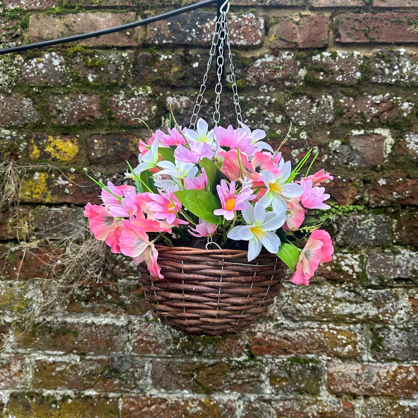 Petite pinky hanging basket