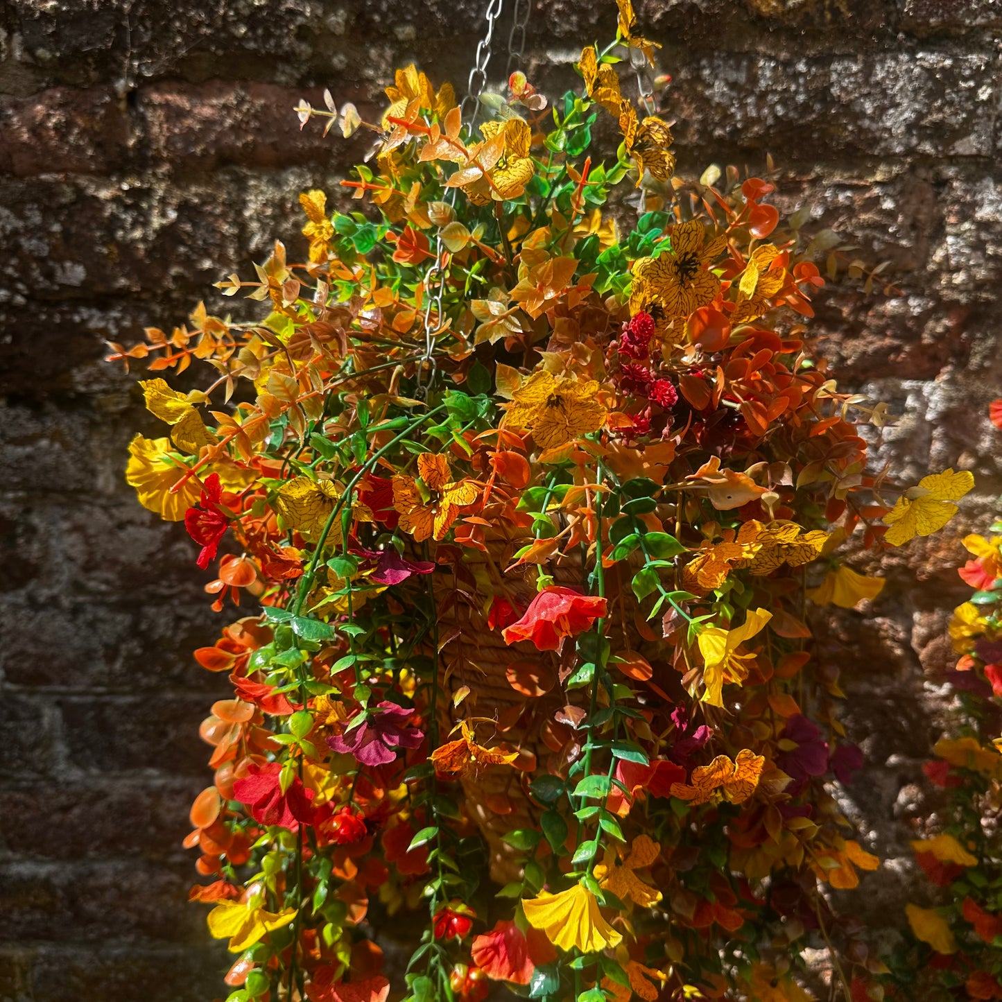Lulu hanging baskets