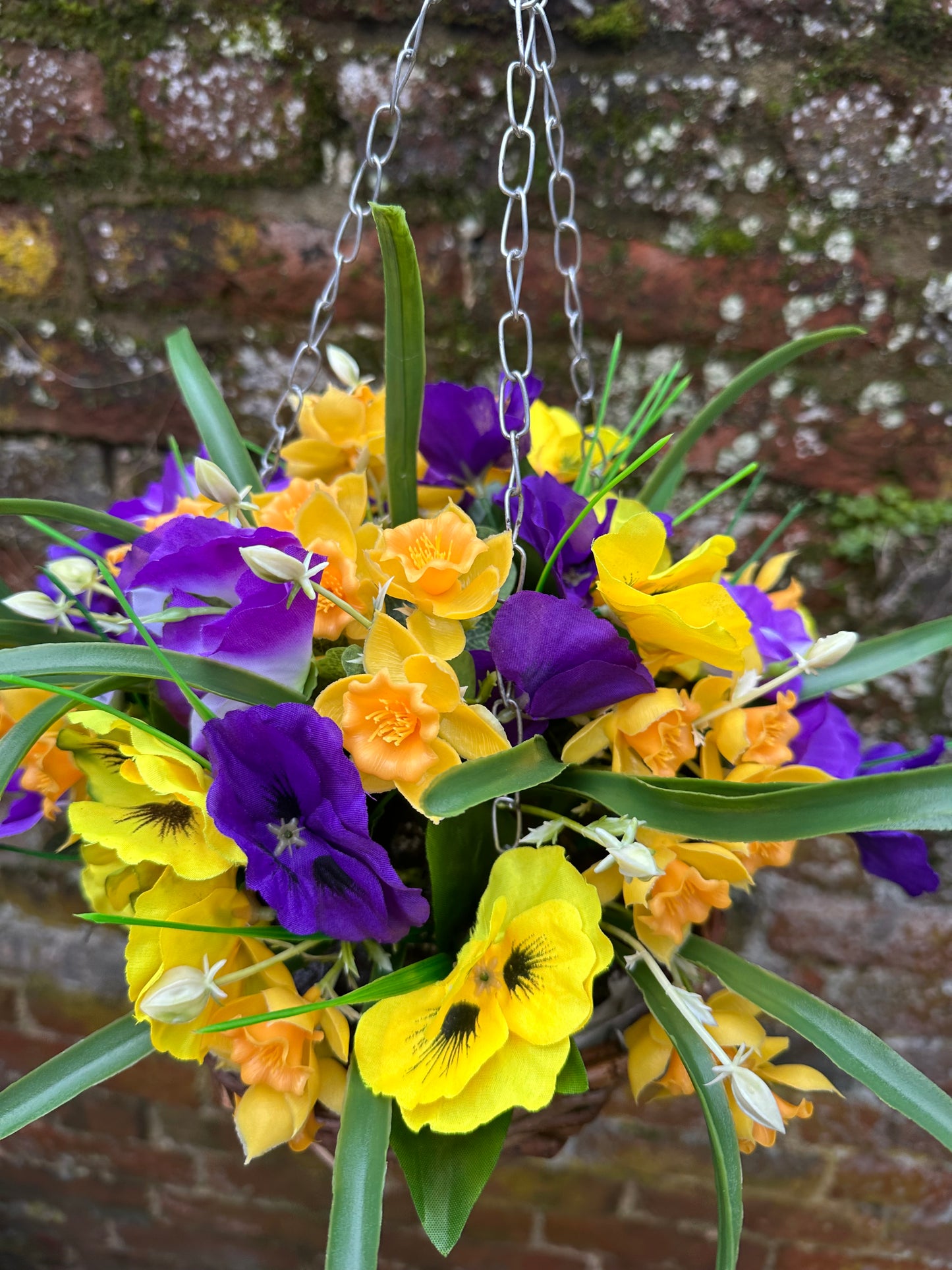 Petite purple & yellow spring hanging basket.