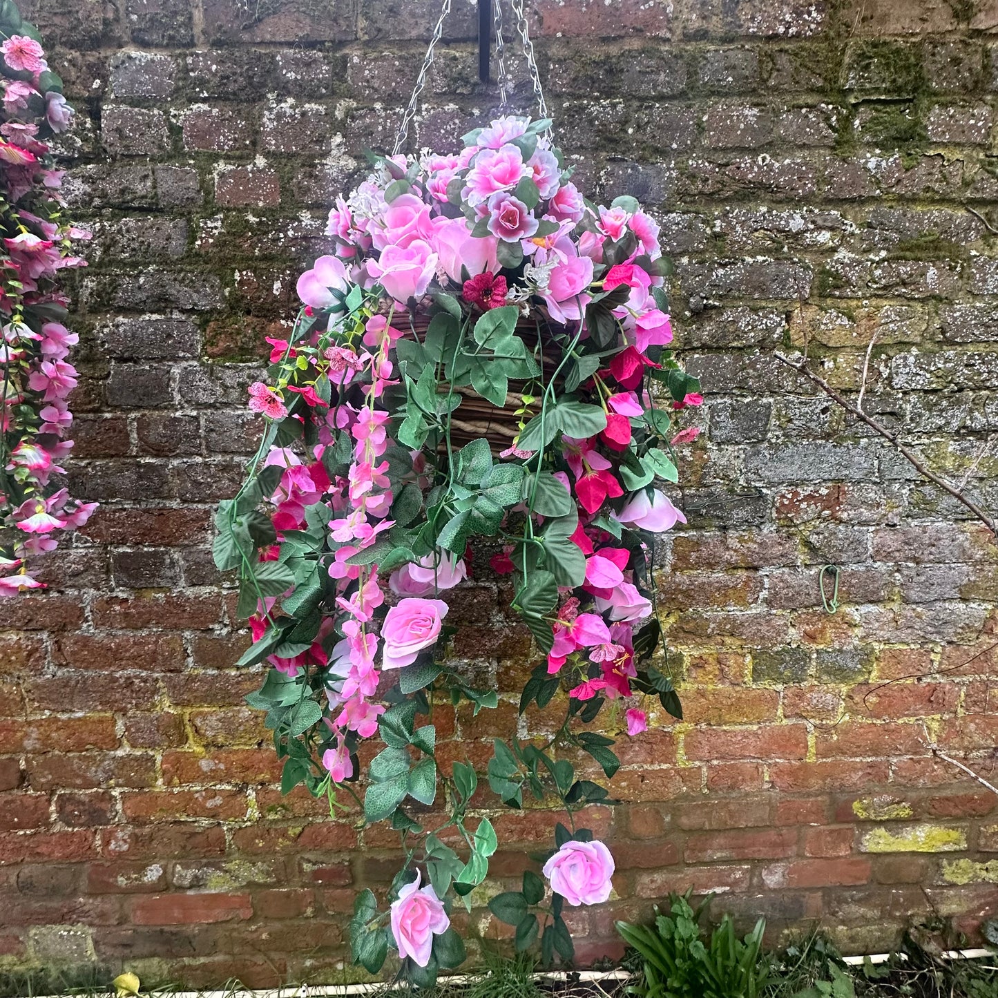 Standard pinks hanging basket, with trailing foliage