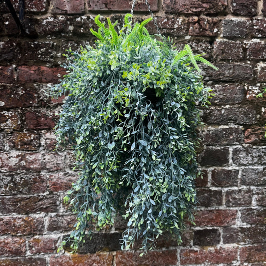 Kelly natural foliage hanging basket ( shown on left of video)