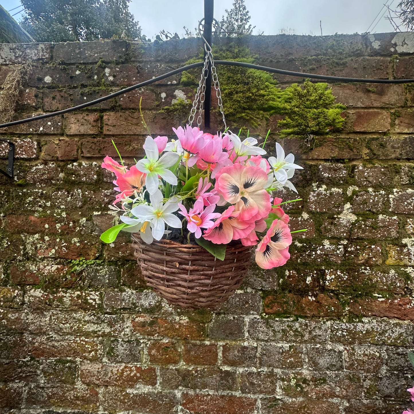Petite pinky hanging basket