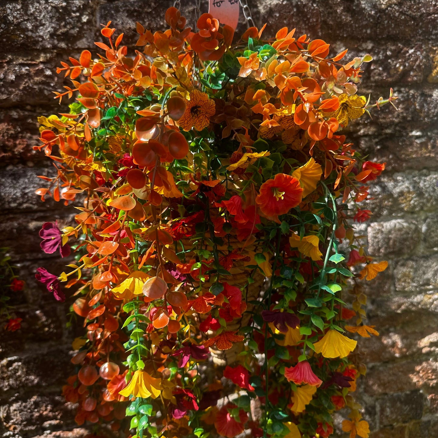 Lulu hanging baskets