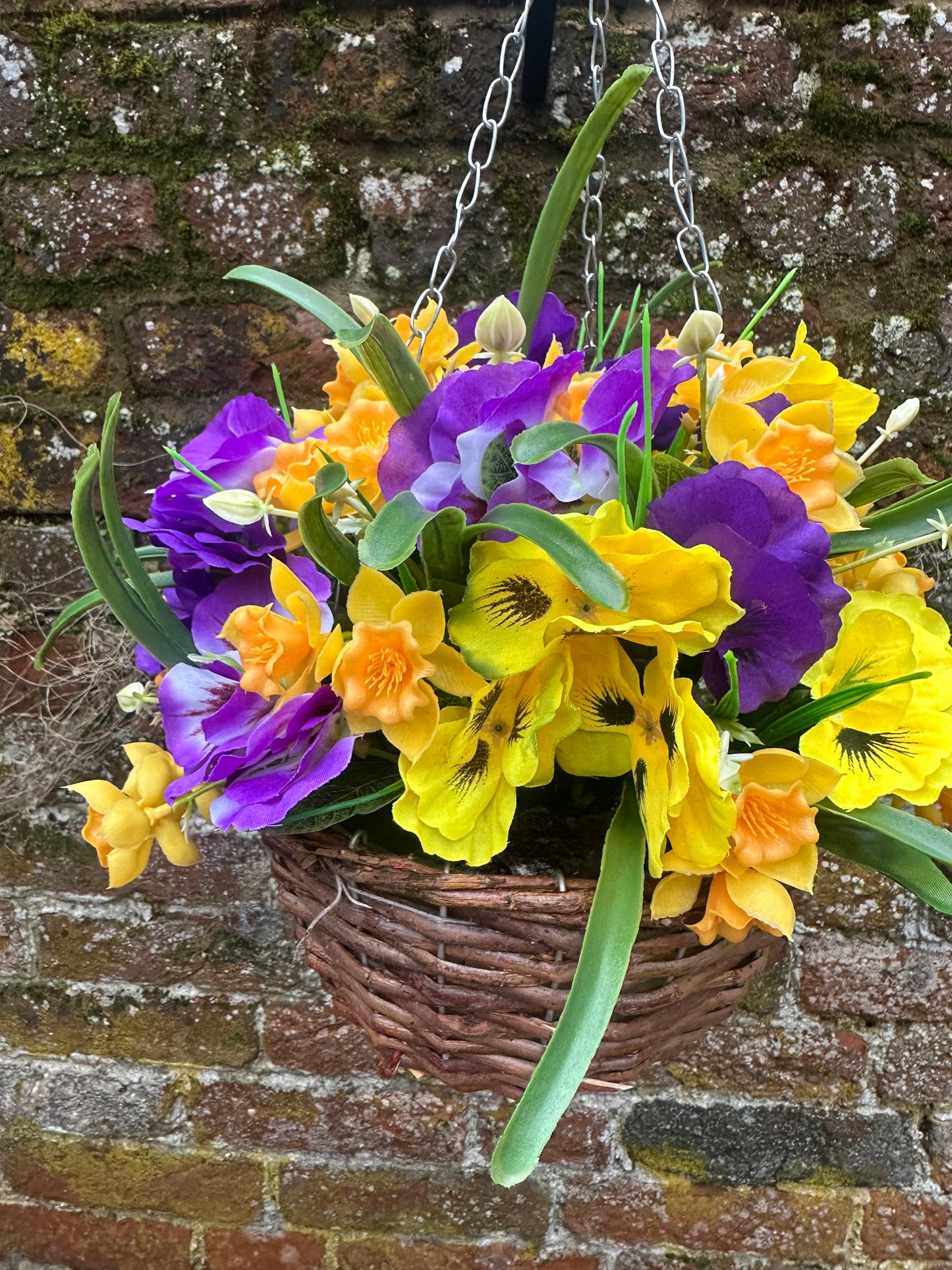 Petite purple & yellow spring hanging basket.