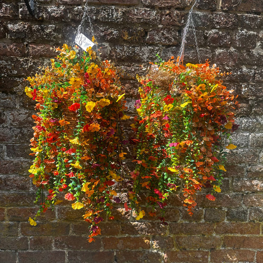 Lulu hanging baskets
