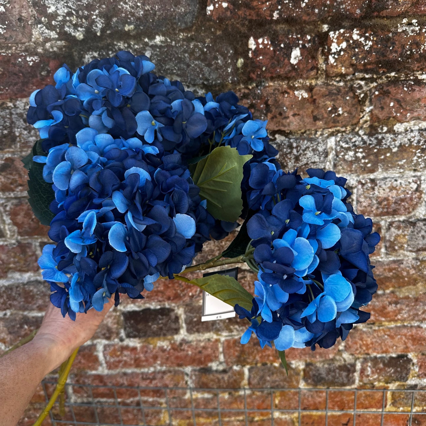 4 NEW Dunelm Blue Hydrangeas