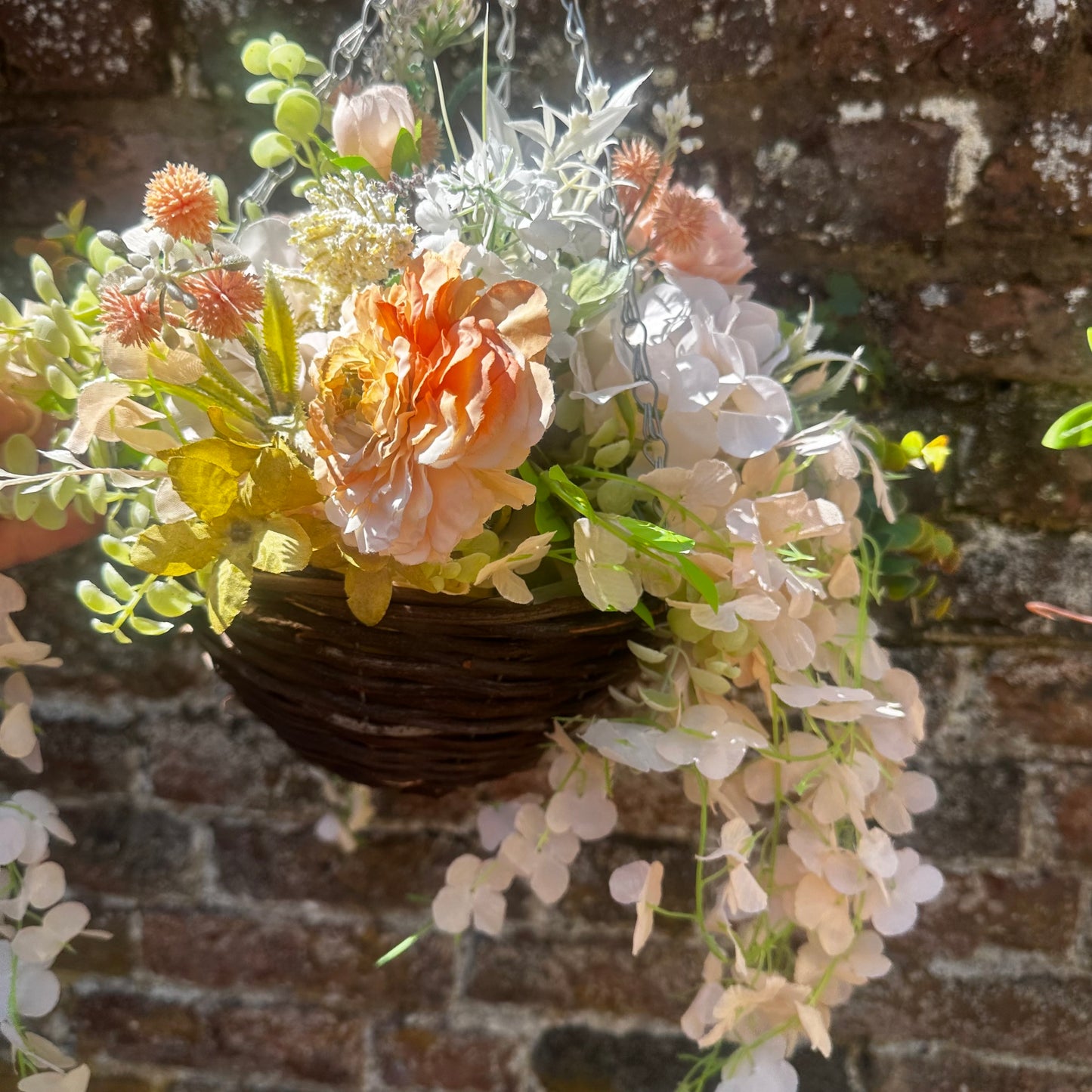 Petite peachy hanging basket