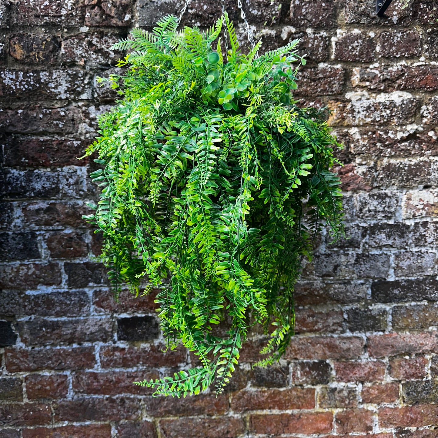 The Giselle natural foliage hanging basket ( shown on right of video)